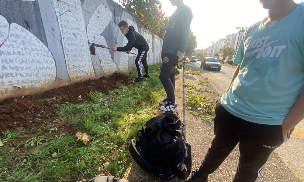 AKCIJA NA BILOM BRIGU Zadarski Otoci Nasadi I MO Zazelenili